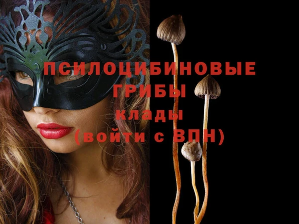 мескалин Баксан