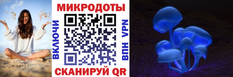 Галлюциногенные грибы Cubensis  Нестеровская 
